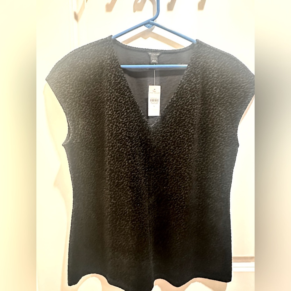 Ann Taylor Top